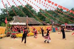 Vietnam Festivals Guide - Tet, Mid-Autumn Traditions