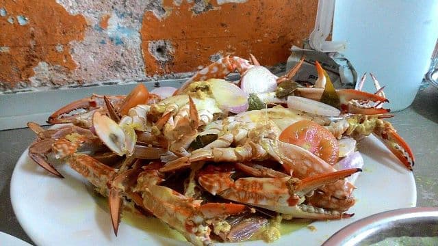 Galle Restaurants Guide - Seafood, Coastal Dining
