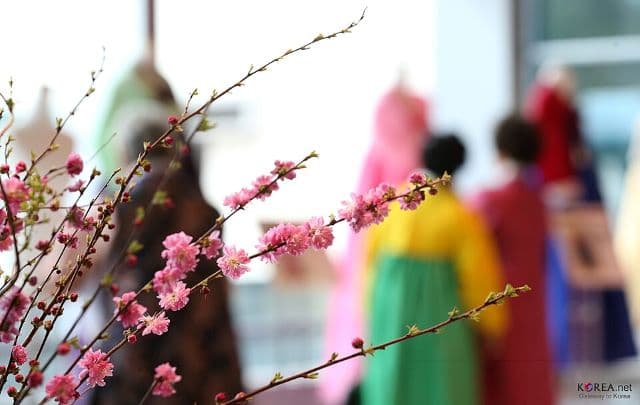 South Korea Culture Guide - Hanbok, Etiquette, Customs