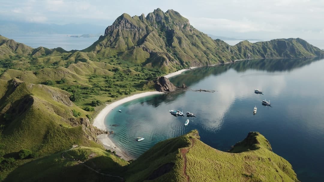 Komodo National Park Tours - Wildlife, Routes, and Visitor Tips