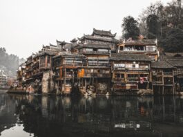 China’s Digital Villages Transform Rural Culture Article
